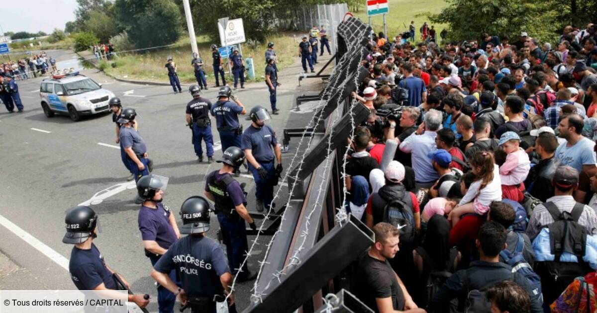 à la frontière serbo-hongroise, ces hommes qui souhaitent gagner l'Europeà la frontière serbo-hongroise, ces hommes qui souhaitent gagner l'Europe