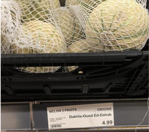 Melon Origine Maroc