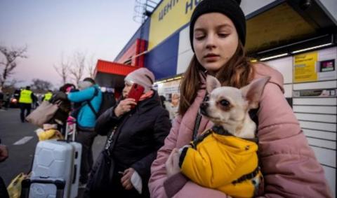 Pour les Ukrainiens qui fuient la guerre, les femmes, les enfants... et les animaux d'abord !