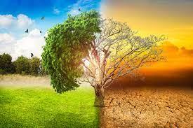 Climat : le réchauffement en France s'annonce pire que prévu