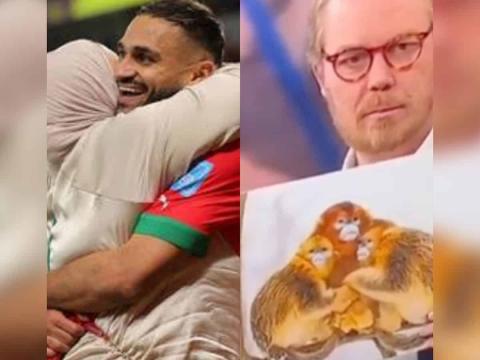 Dérive raciste honteuse : La télévision danoise assimile les Lions de l'Atlas à des primates