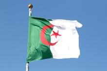 Algérie - Drapeau