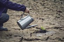 Sécheresse : des arrêtés de restriction d'eau «dès maintenant»