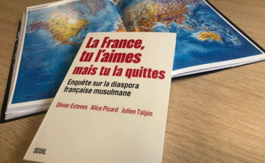 La France tu l'aimes mais tu la quittes