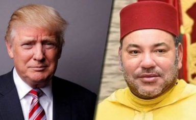 Trump-M6