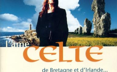Après le Brexit, l'Irlande renforce ses liens avec la Bretagne et la France