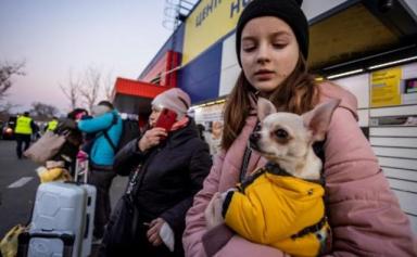 Pour les Ukrainiens qui fuient la guerre, les femmes, les enfants... et les animaux d'abord !