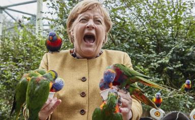 Élections allemandes : hécatombe parmi les proches de Merkel