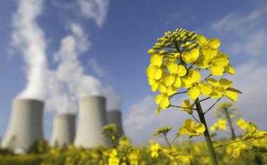 Onze Etats de l'UE s'allient pour défendre le nucléaire