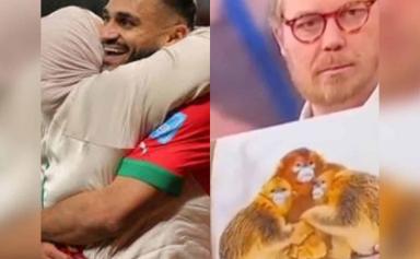 Dérive raciste honteuse : La télévision danoise assimile les Lions de l'Atlas à des primates