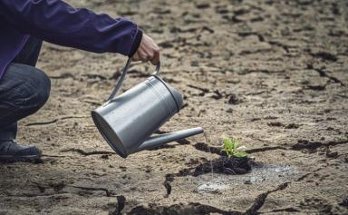 Sécheresse : des arrêtés de restriction d'eau «dès maintenant»