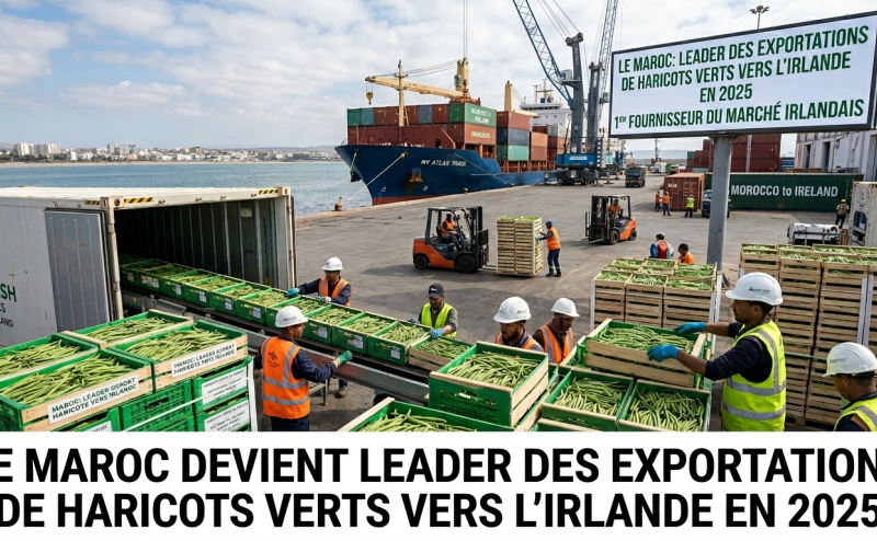 Maroc - Irland